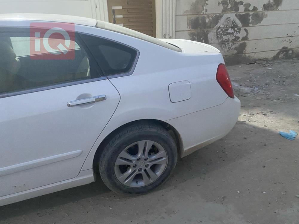 رينو سافران